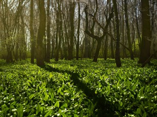 访田舍，送技术！ “中国农资”现代农业服务团队助力秋粮出产