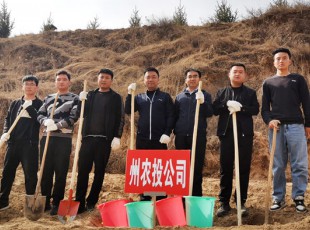 Z6尊龙凯时参与2021年春季使命植树活动