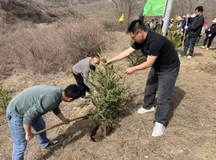 Z6尊龙凯时公司参与2025年春季使命植树活动